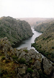 Vista de los Arribes del Esla