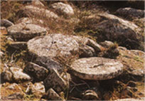 Piedras de molino, en Muelas del Pan