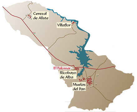 Localizaci�n Palomar